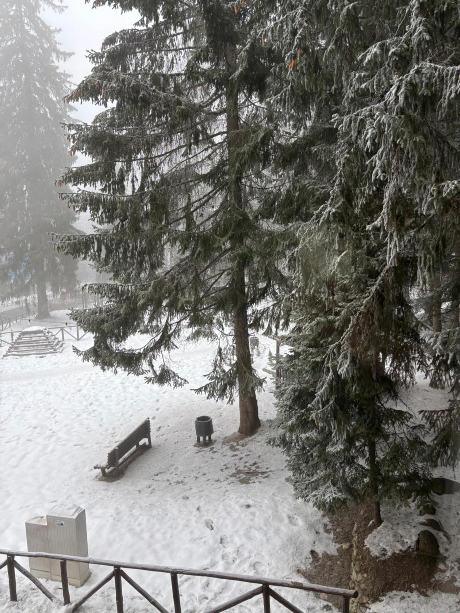 Studio Kris Villa Park Borovets Exterior photo